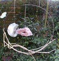 Intimité - 2008